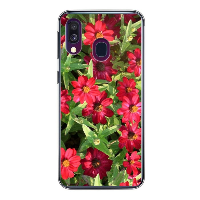 MuchoWow Handyhülle Rote Zinnienblüten an einem sonnigen Tag Handyhülle Samsung Galaxy A40 Smartphone-Bumper Print Handy