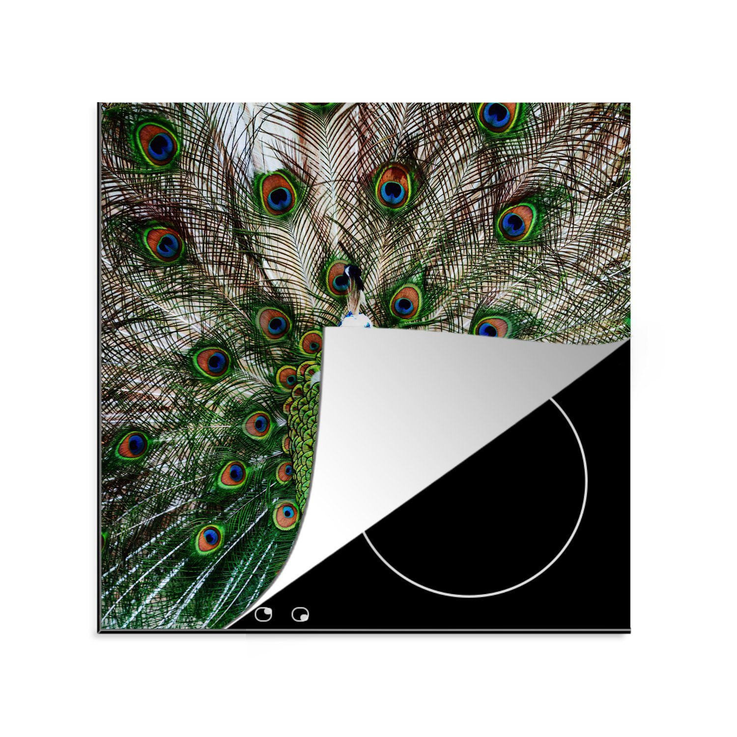 MuchoWow Herdblende-/Abdeckplatte Vitiligo, Arbeitsplatte 78x78 cm, - Federn küche (1 Vinyl, Ceranfeldabdeckung, Pfau - tlg), für