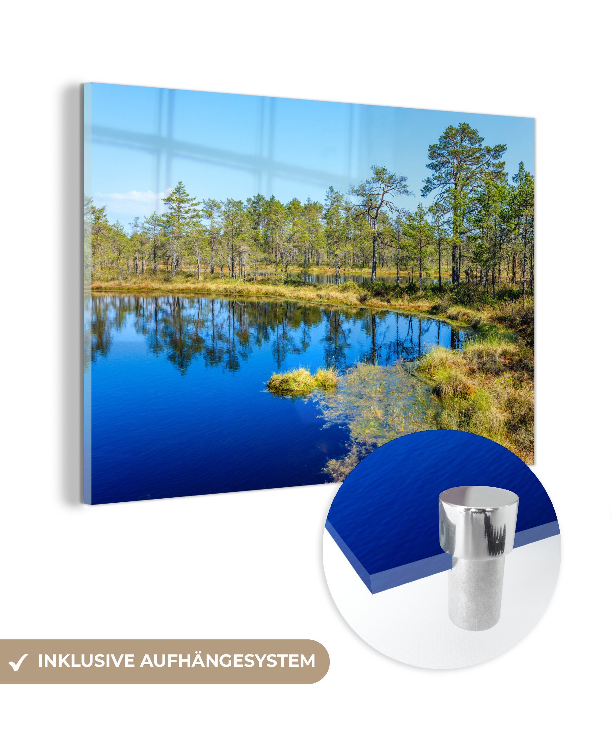 MuchoWow Acrylglasbild Grüne Bäume am Rande des blauen Wassers im Sumpfgebiet im estnischen, (1 St), Acrylglasbilder Wohnzimmer & Schlafzimmer