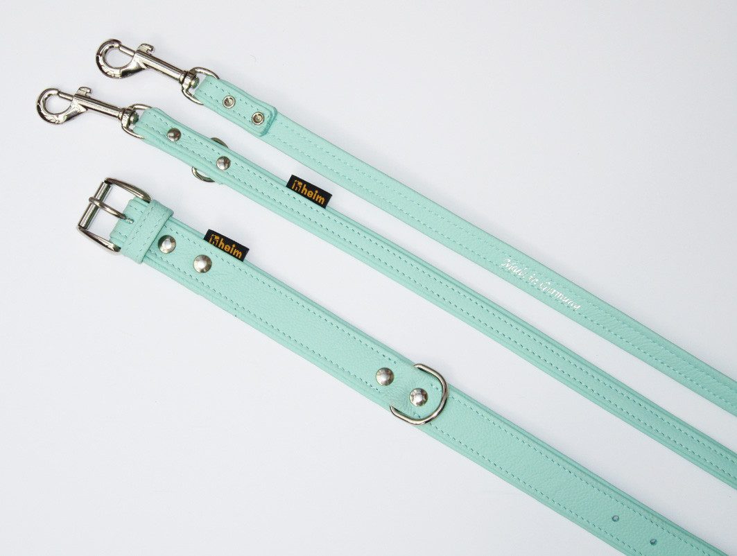 HEIM Hunde-Halsband Halsband + Führleine "Colour" mint, verschiedene Breiten und Längen