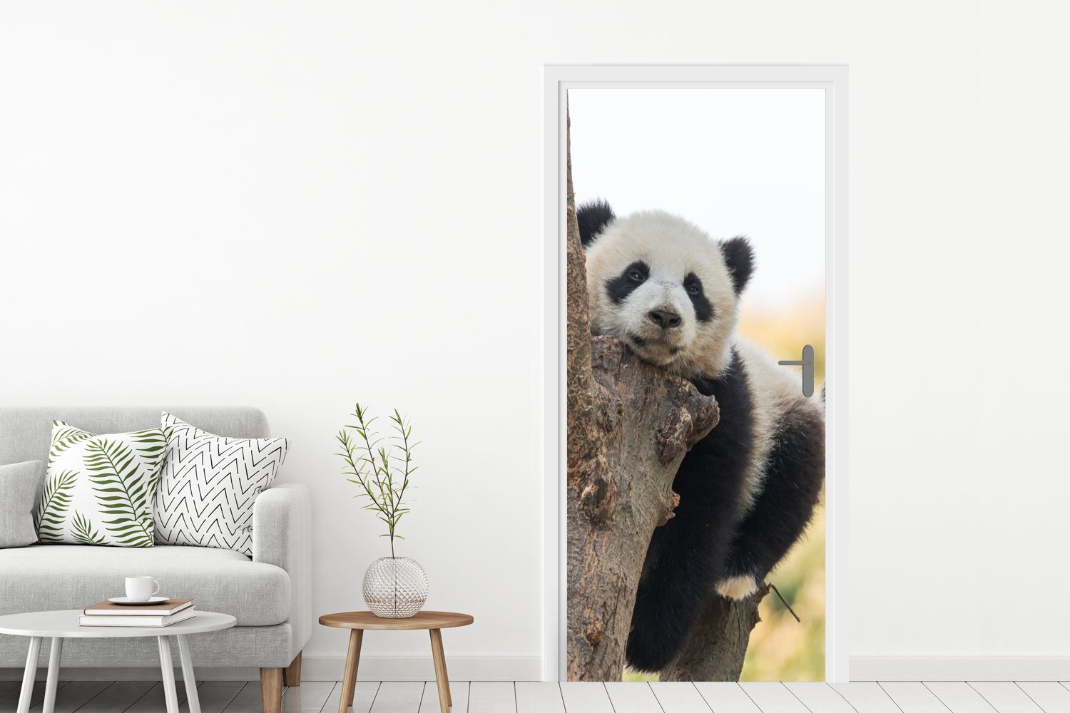 bedruckt, Baum 75x205 MuchoWow Matt, Tür, Licht, St), Türtapete Panda Türaufkleber, - - (1 cm Fototapete für