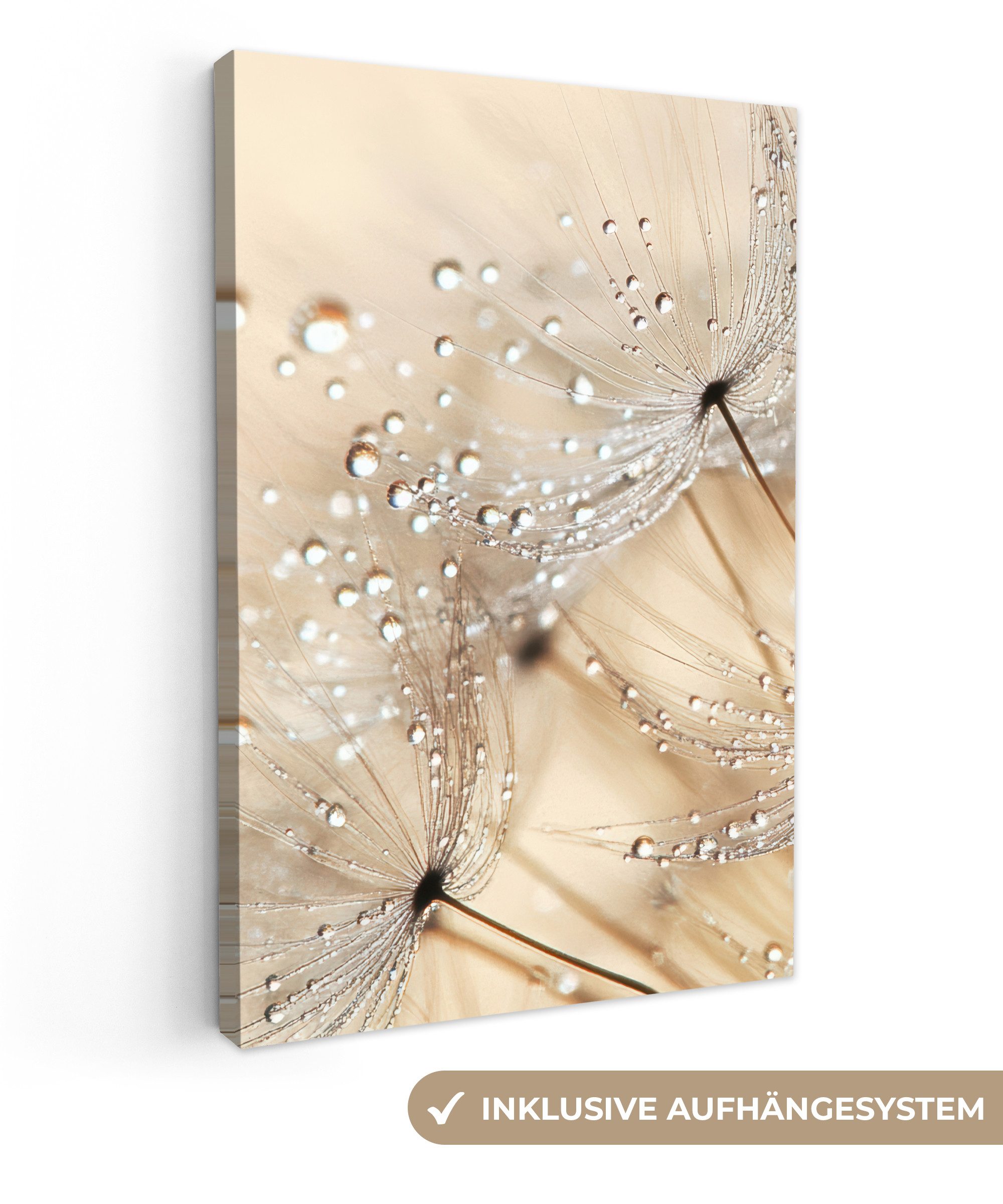 OneMillionCanvasses® Leinwandbild Löwenzahn - Abstrakt - Natur - Beige, Fot günstig online kaufen
