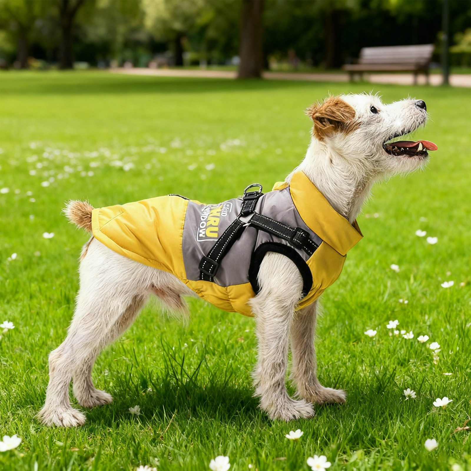 OKWISH Hundemantel Wintermantel Warme Hundejacke, Robuster D-Ring und reflektierende Streifen für sichere Spaziergänge