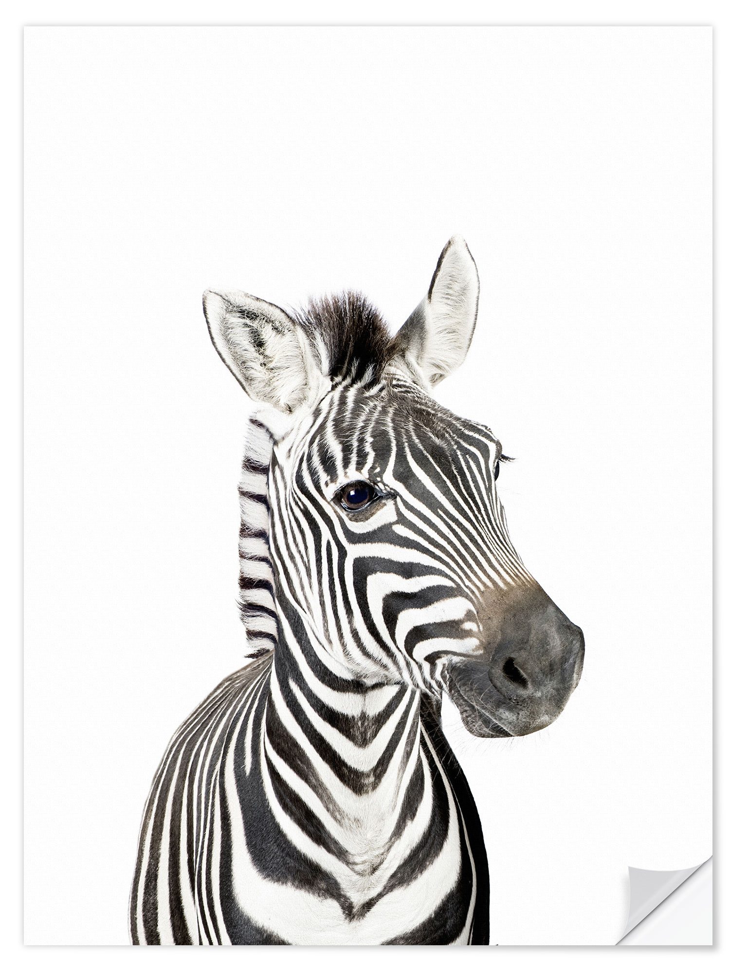 Posterlounge Wandfolie Sisi And Seb, Babyzebra, Kinderzimmer Kindermotive