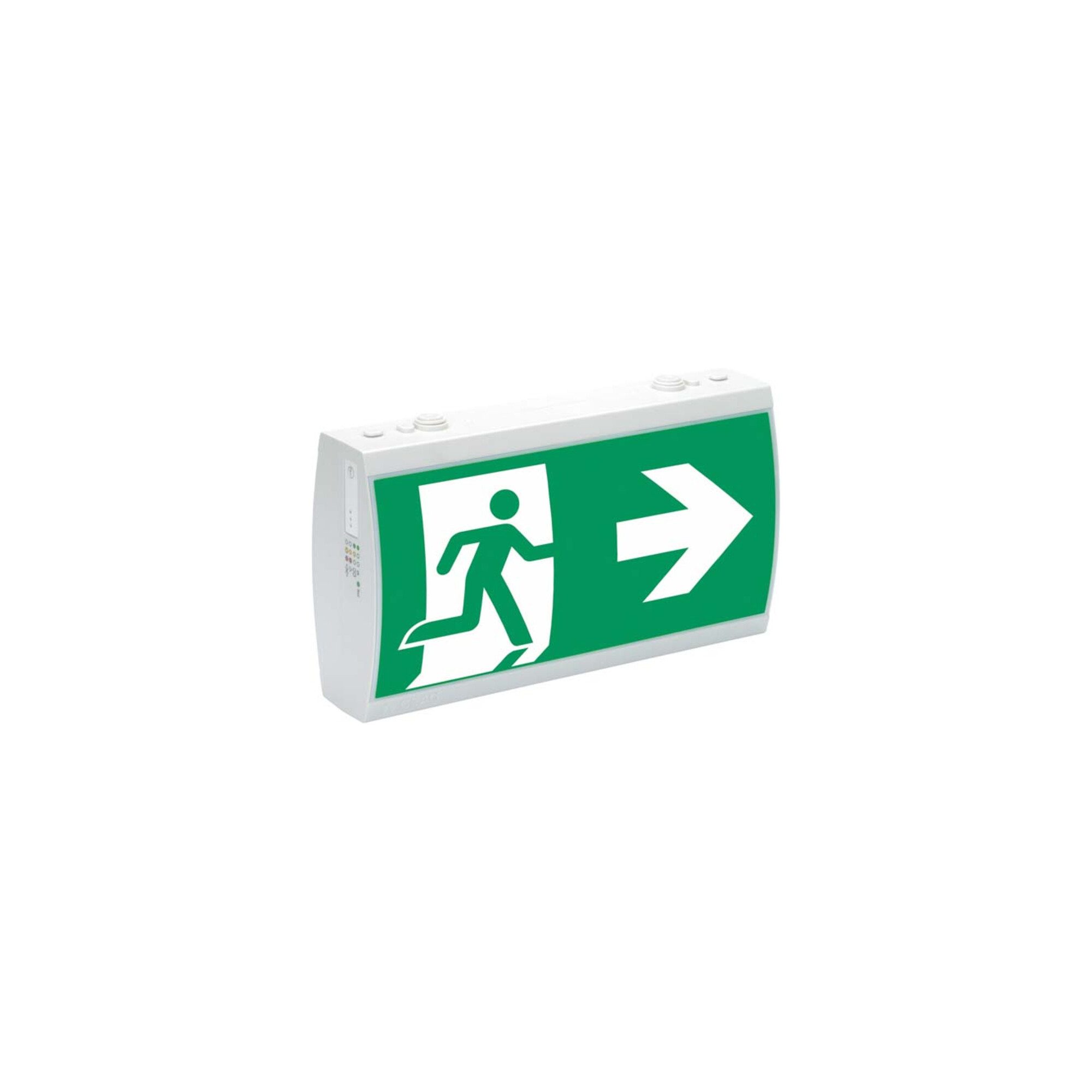 Ceag Laterne Ceag Notlichtsysteme LED-Rettungszeichenleuchte RAL7035 IP41 SV EURO 2