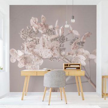 Bilderdepot24 Fototapete Blumen Zarte weiße Hortensie Blumentapete Floral Natur Modern Kunst, Glatt, Matt, (Vliestapete inkl. Kleister oder selbstklebend), Wohnzimmer Schlafzimmer Küche Flur Motivtapete Vliestapete Wandtapete