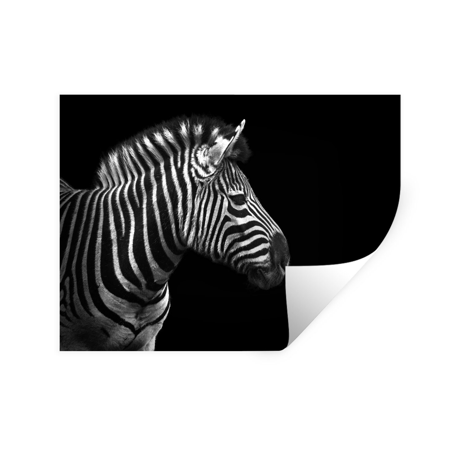 MuchoWow Wandsticker Zebra - Schwarz - Weiß - Porträt - Tiere (1 St), Wandaufkleber, Wandtattoo, Selbstklebend, Wohnzimmer, Schlafzimmer