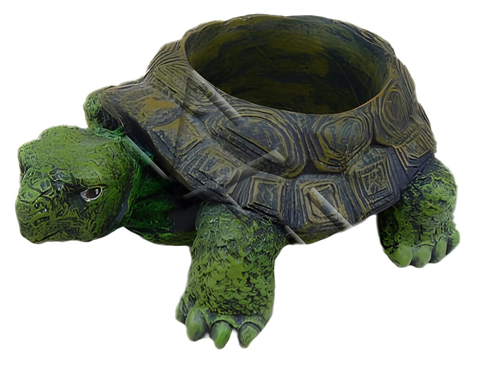 Tierfigur Vase in Schildkrötenform Design Skulptur Figur Statue Statuen Figuren