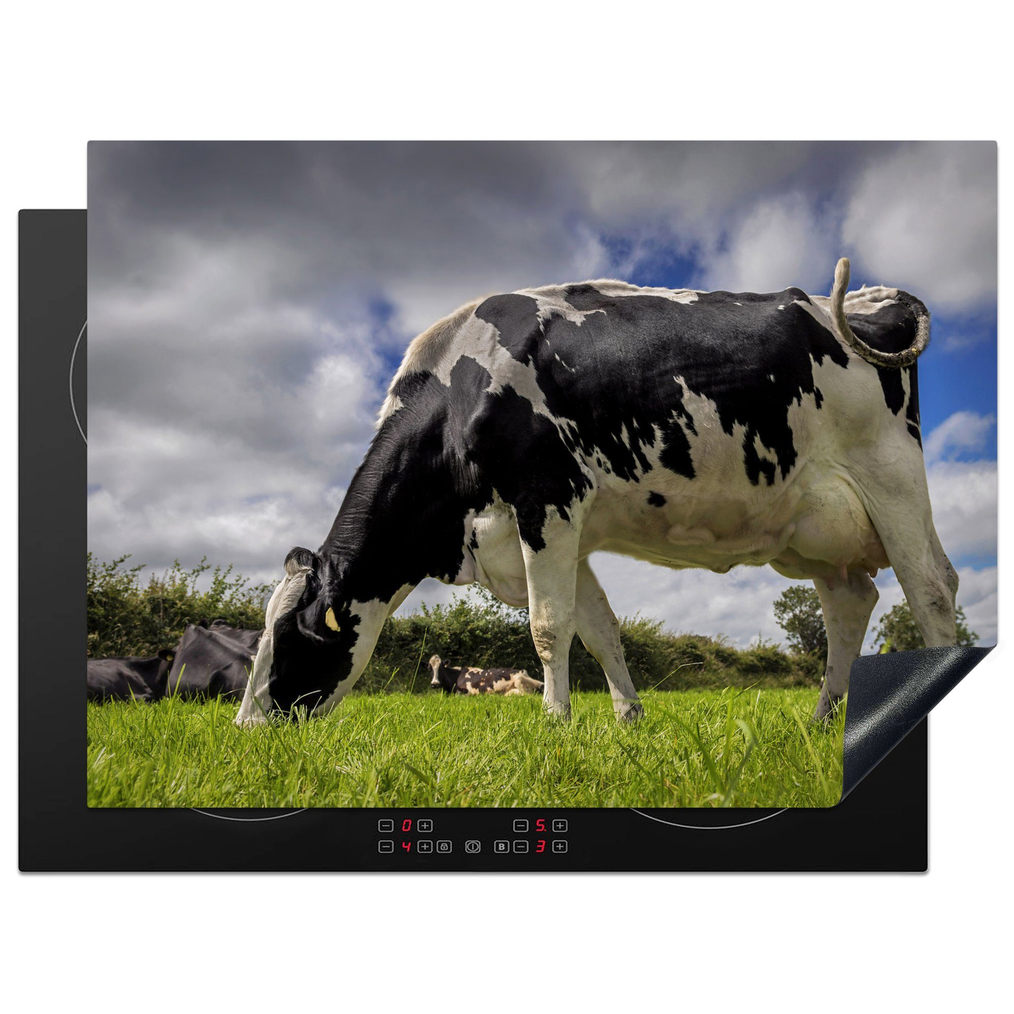 MuchoWow Herdblende-/Abdeckplatte Kuh - Gras - Schwanz - Tiere, Vinyl, (1 tlg), 71x52 cm, Induktionskochfeld Schutz für die küche, Ceranfeldabdeckung