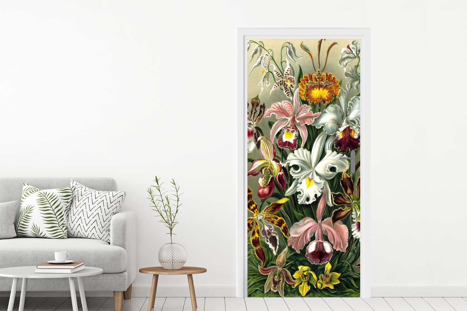 Türtapete Tür, - Kunst, 75x205 Türaufkleber, Haeckel cm St), MuchoWow für bedruckt, Orchidee Fototapete - (1 Matt,