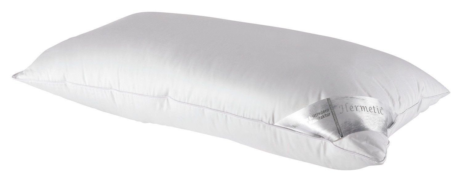 Bielefelder Bettfedern-Manufaktur Verse GmbH Kopfkissen, Füllung: Daunenfedern, Bezug: Baumwolle