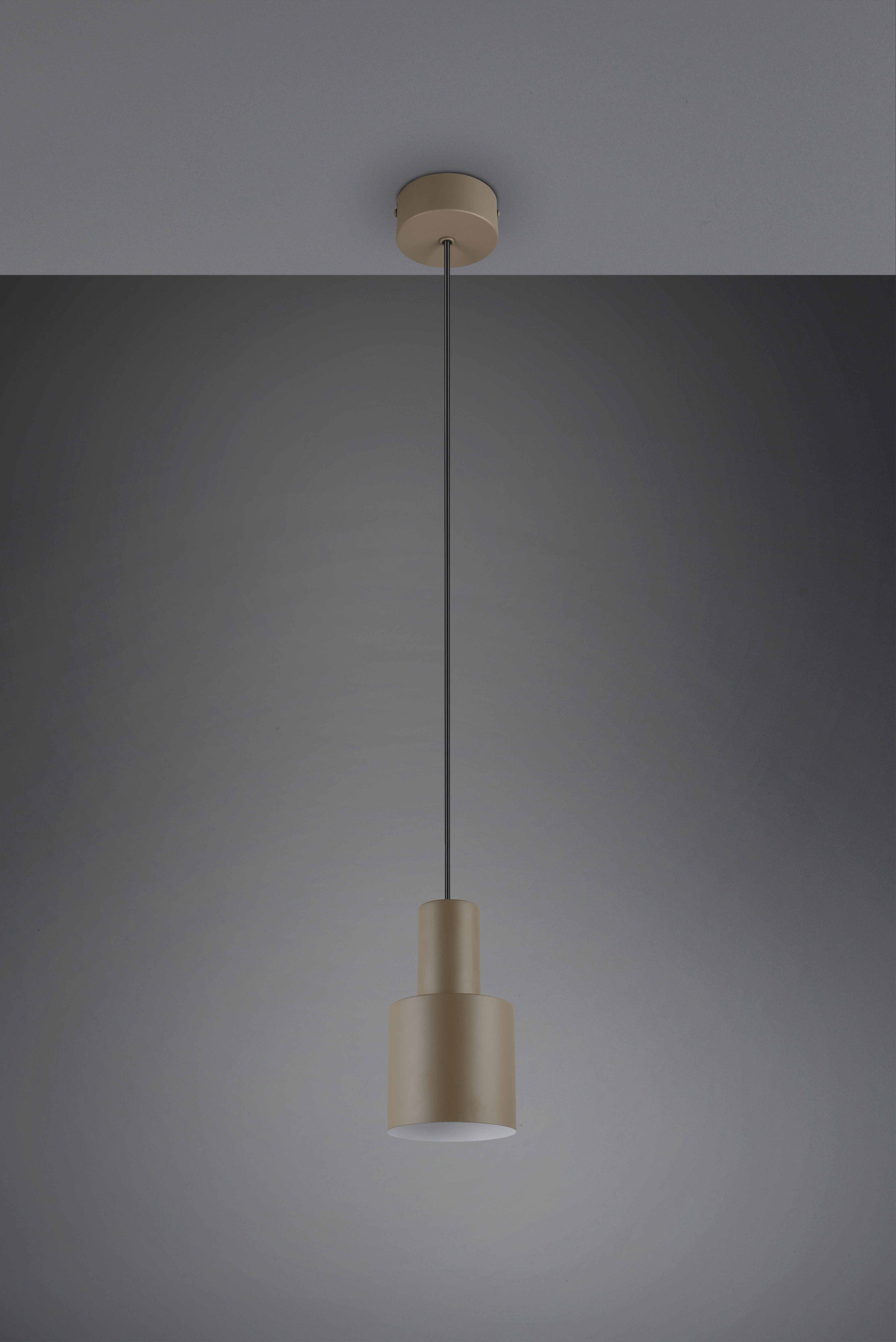 TRIO Leuchten Pendelleuchte AGUDO, Hängelampe 1-flammig, exkl 1xE27 max 10W, höhenverstellbar, Leuchtmittel wechselbar, warmweiß - kaltweiß, Hängelampe Ø 12cm, bis max 150cm Abhängung, Küche Esszimmer Wohnzimmer