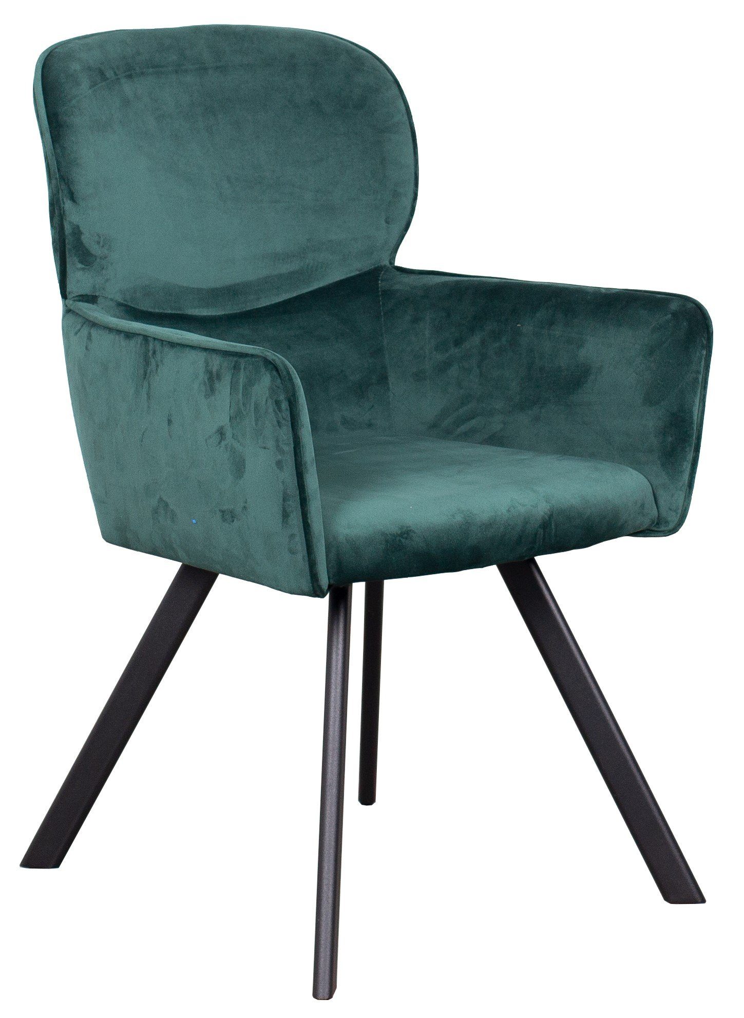 - Sessel - Metall-Gestell 6-St), living Samtbezug - (Set, - Samt Armlehnen - bene gepolstert - Treviso - hohe Rückenlehne Esszimmer dunkelgrün