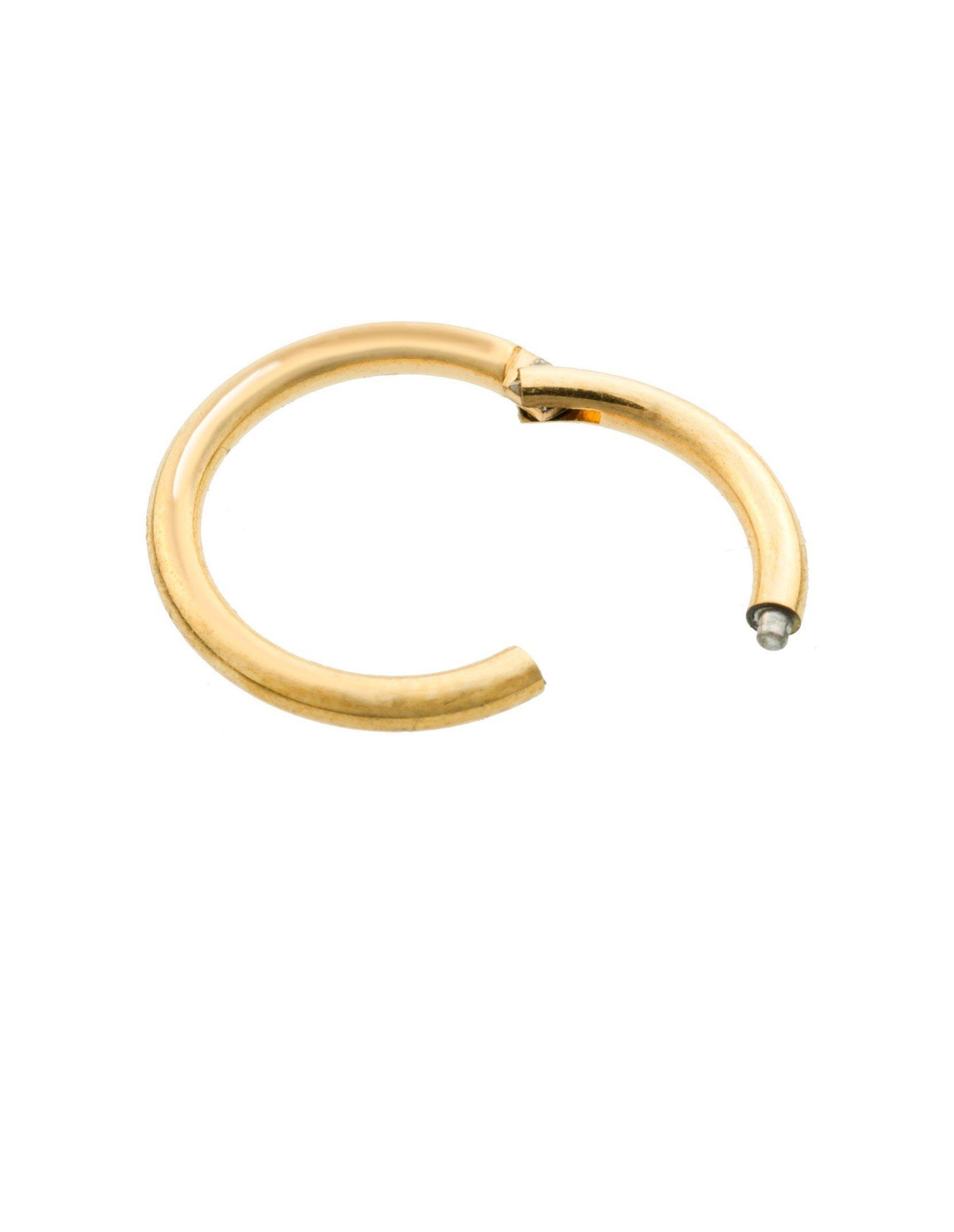 Paletti Single-Ohrstecker Segmentring Clicker Chirurgiestahl, Vergoldet günstig online kaufen