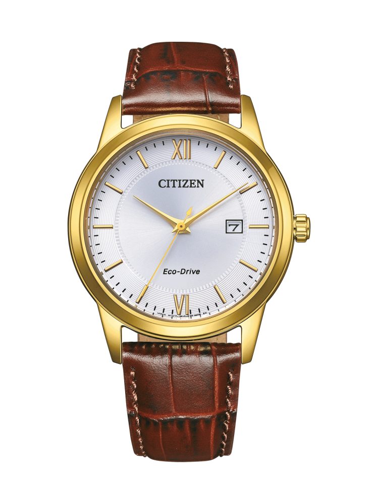 Quarzuhr Citizen Quartz Eco-Drive 'Eco-Drive Technologie' AW1782-11A