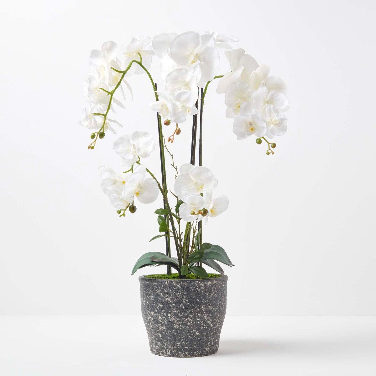 Kunstorchidee Künstliche Phalaenopsis-Orchidee im dunkelgrauen Keramik-Topf, 82 cm, Homescapes