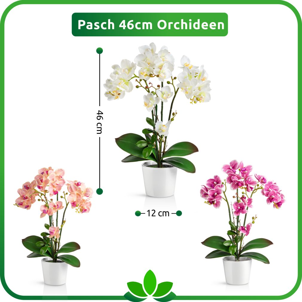 Kunstorchidee PASCH® Orchidee künstlich wie echt (46cm) in Hochglanz-Keramiktopf Orchidee, PASCH, Real Touch – Bild 5 von 5