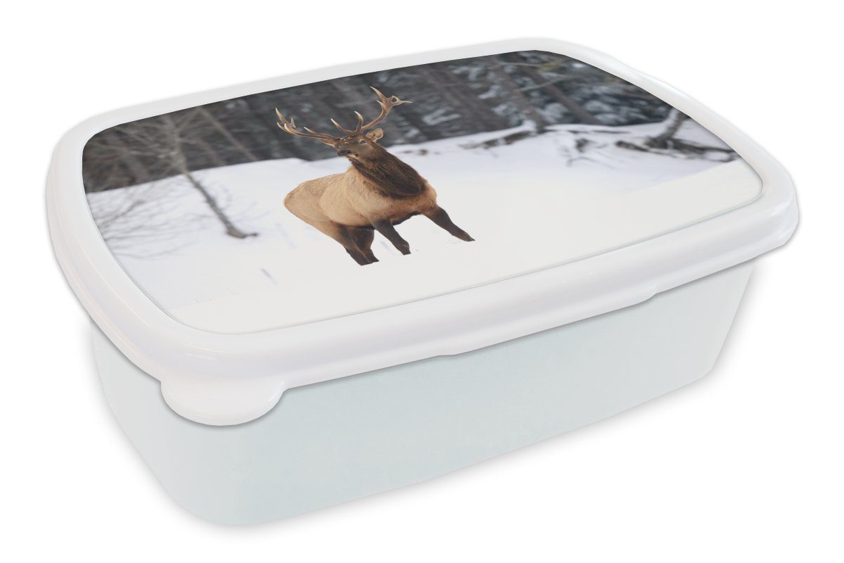 MuchoWow Lunchbox Rotwild - Schnee - Winter, Kunststoff, (2-tlg), Brotbox für Kinder und Erwachsene, Brotdose, für Jungs und Mädchen weiß