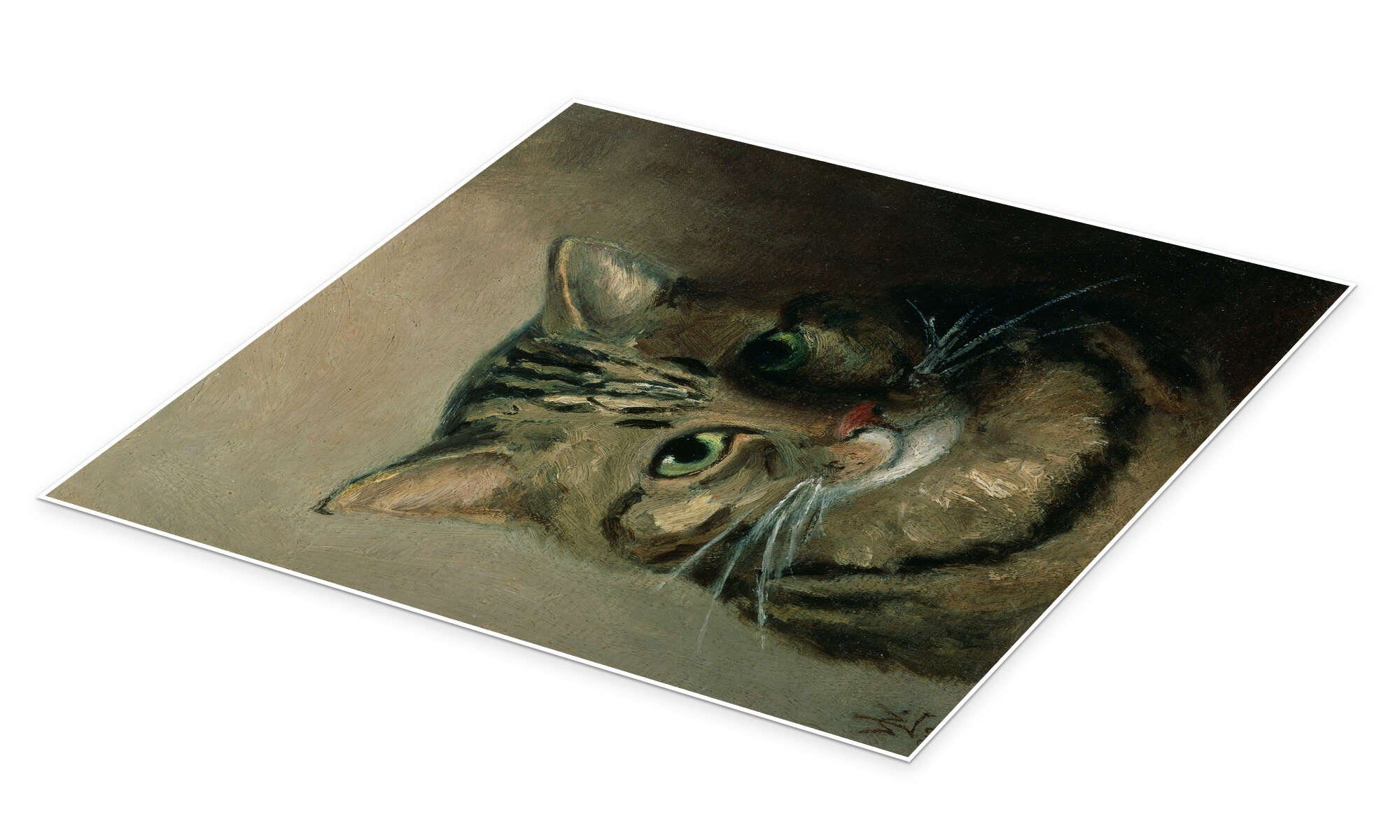 Posterlounge Wandbild Eine Kopfstudie einer getigerten Katze, Louis Wain, erhältlich als Poster, Leinwandbild, Wandsticker oder Acrylglasbild