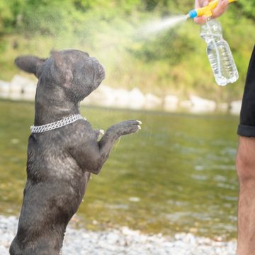 FinoPet Hundebademantel 2er Set mit verschiedenen Hundeduschen, Reisedusche, Outdoor-Dusche, Für alle gängigen PET-Flaschengrößen mit Standard-Drehverschluss