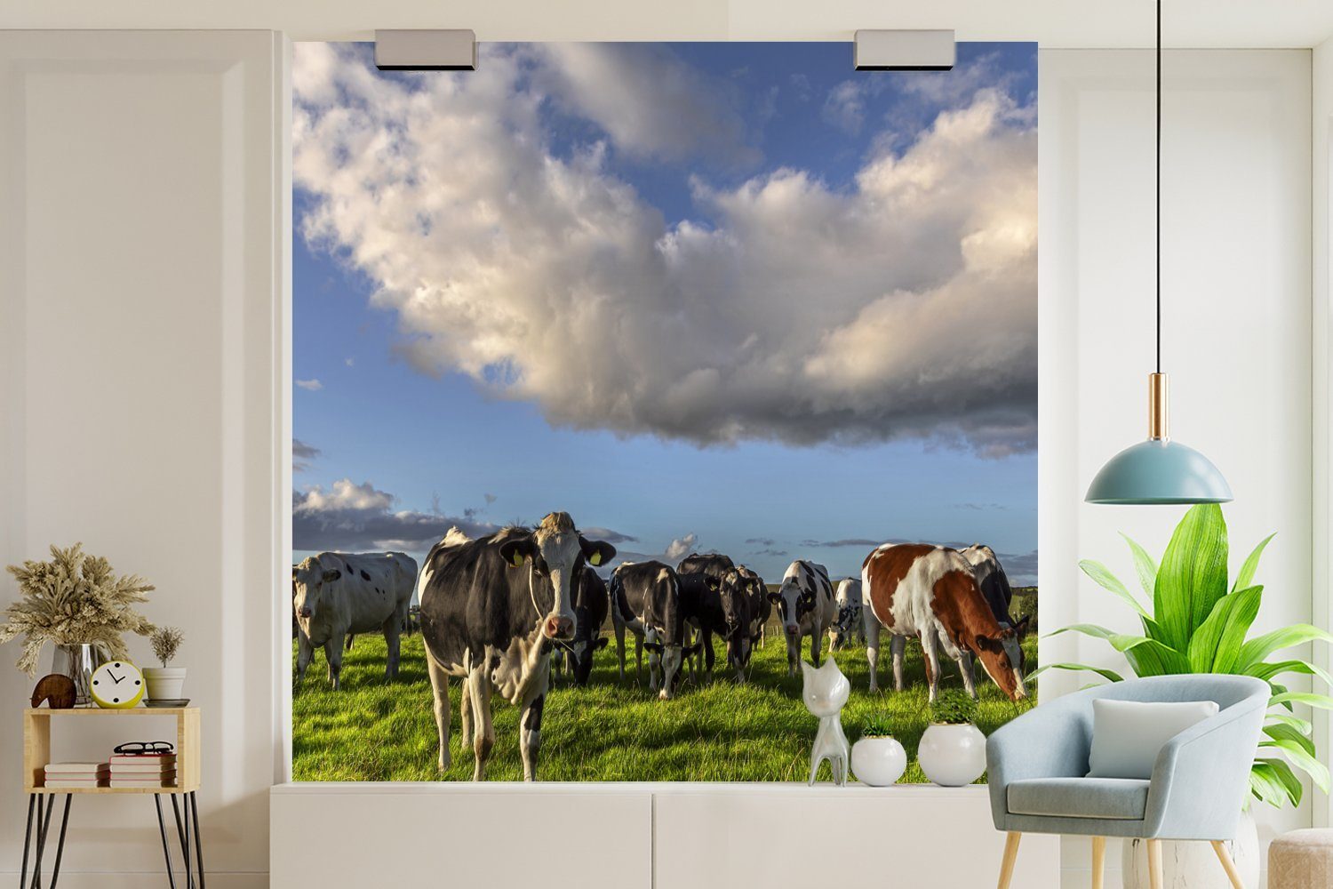 Kühe bedruckt, MuchoWow Wandtapete Matt, für Vinyl - St), (5 - Tapete oder Gras, Schlafzimmer, Licht Fototapete Wohnzimmer