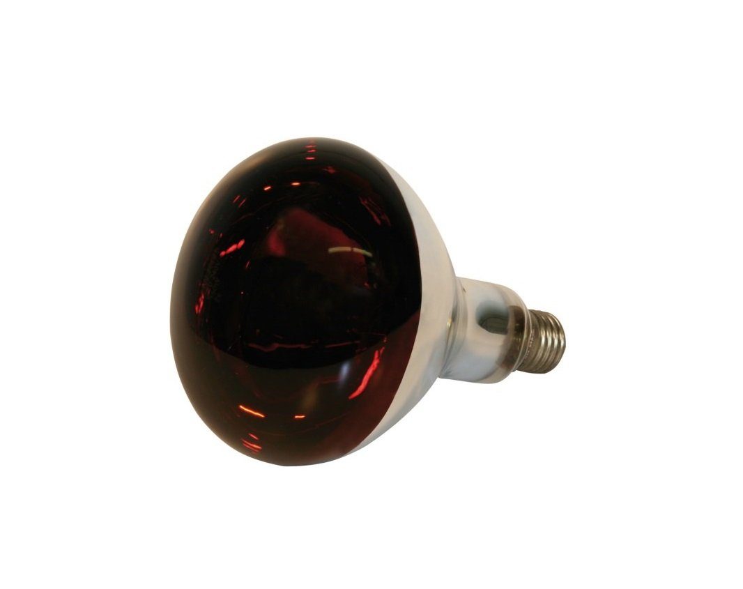 Infrarotlampe für Tiere, aus Hartglas, spritzwassergeschützt, Wärmelampe