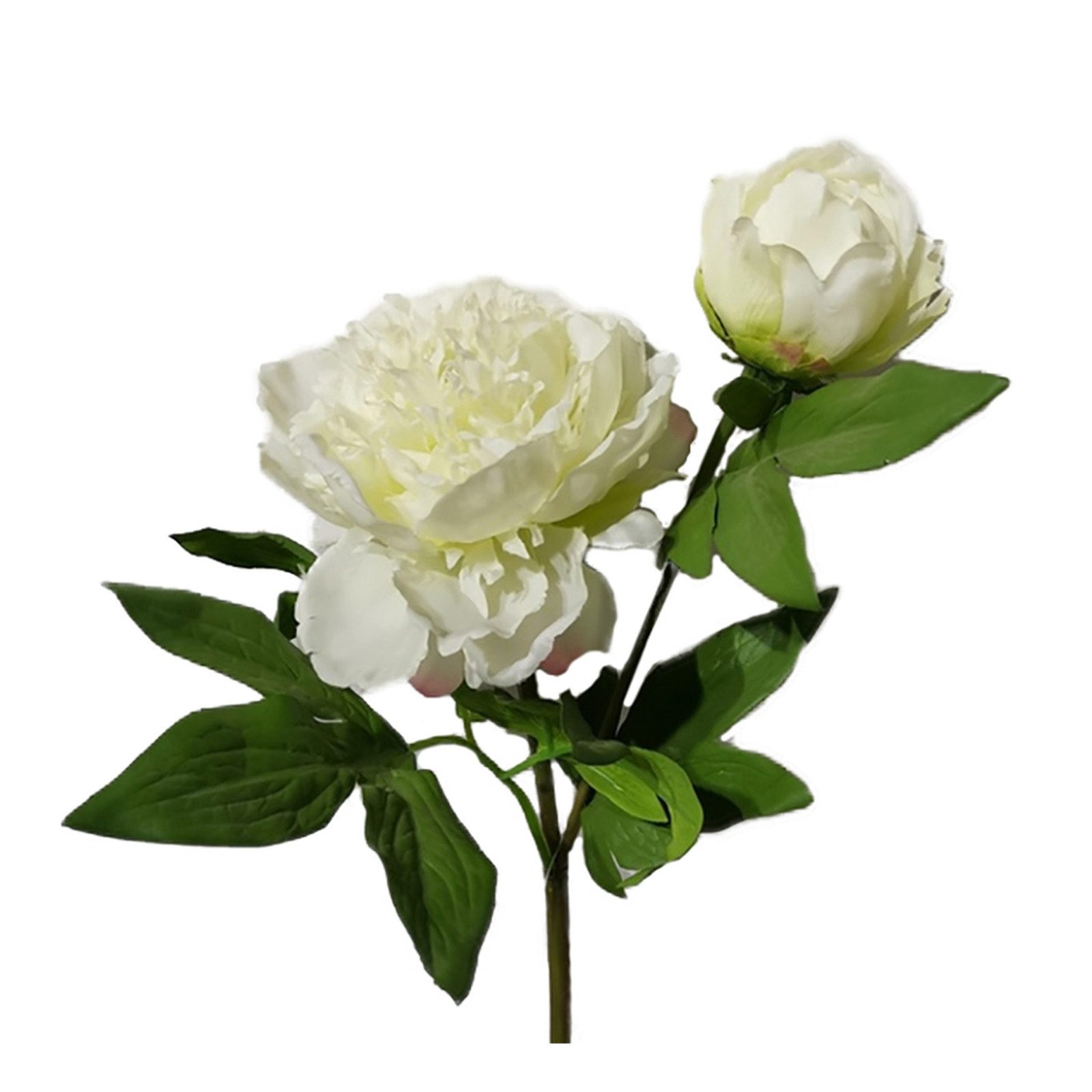 Kunstblume Pfingstrose 2er Set Weiß Flora, HTI-Living, Höhe 23 cm, Kunstblu günstig online kaufen