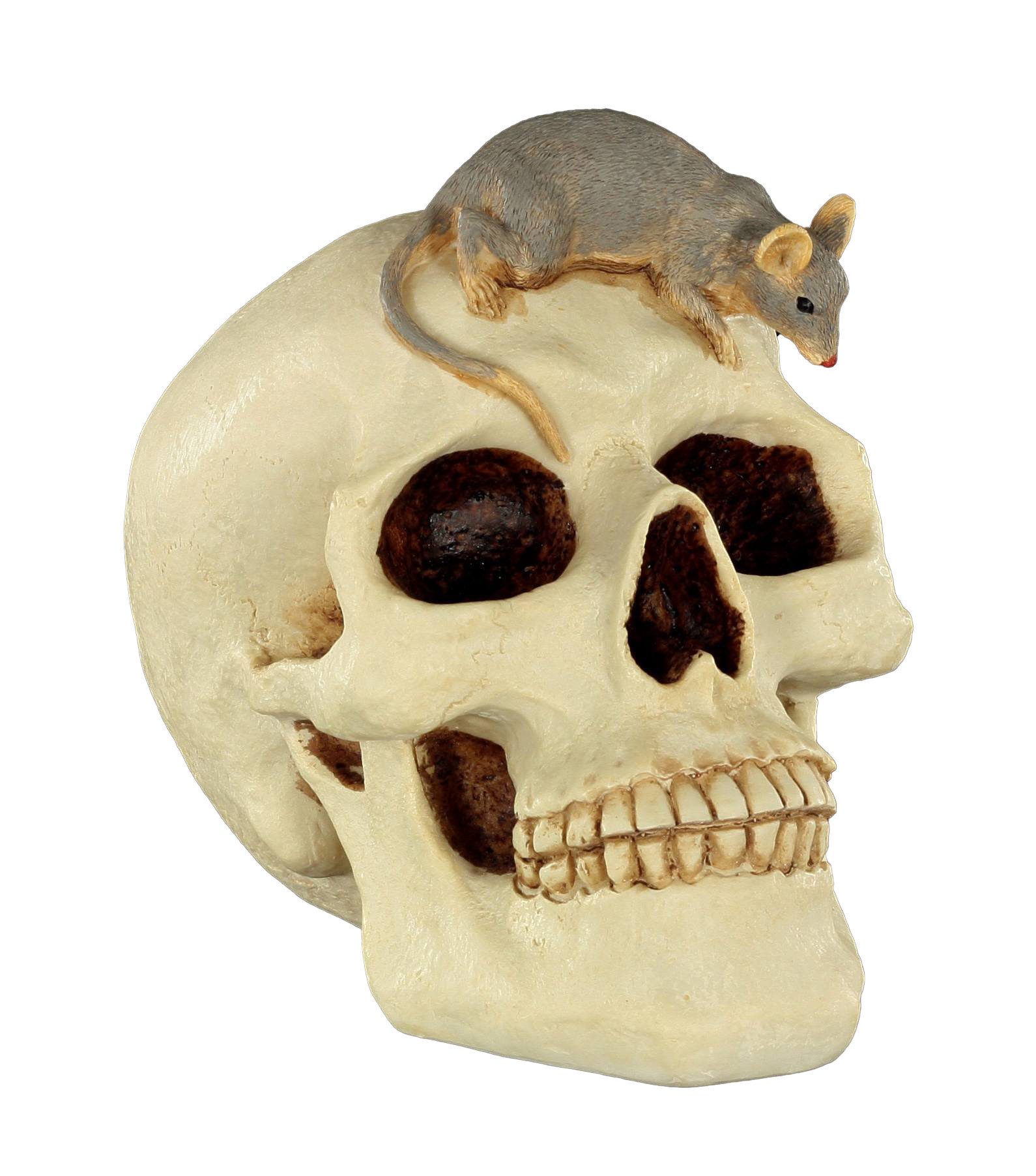 Figuren Shop GmbH Spardose Spardose - Totenkopf mit Maus - Gothic Dekoration Dekofigur