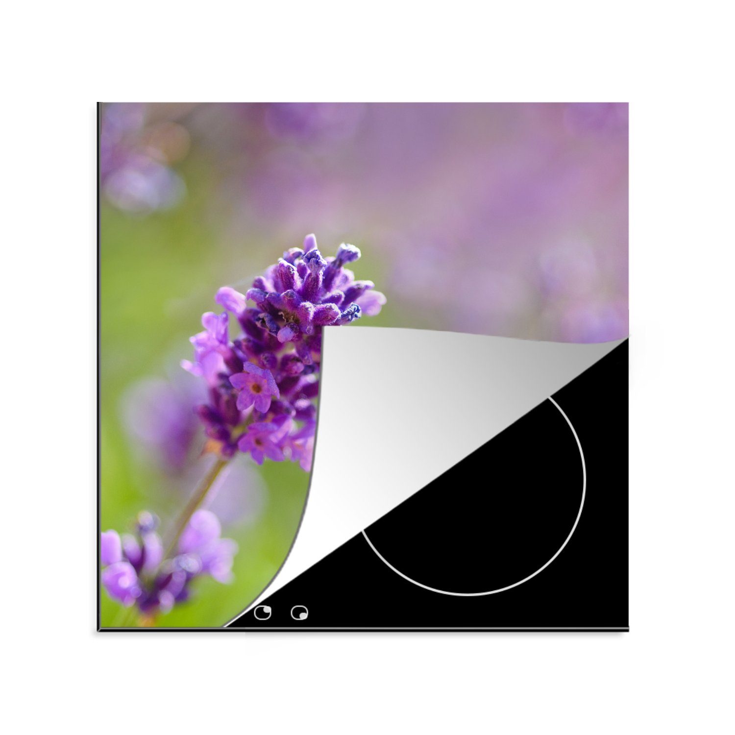 MuchoWow Herdblende-/Abdeckplatte Nahaufnahme von Lavendel vor einem unscharfen Hintergrund, Vinyl, (1 tlg), 78x78 cm, Ceranfeldabdeckung, Arbeitsplatte für küche