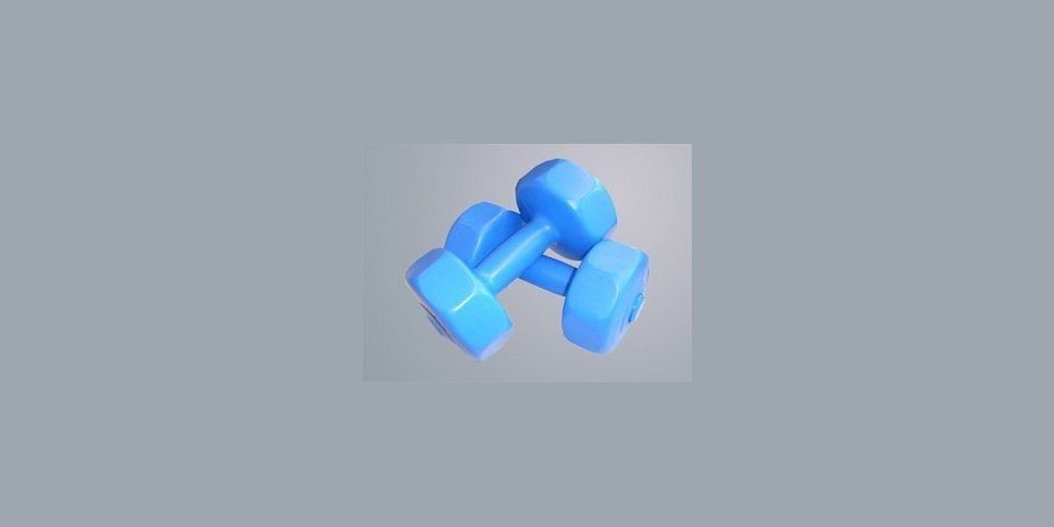 V3Tec Hantel NOS Gymnastikhantel