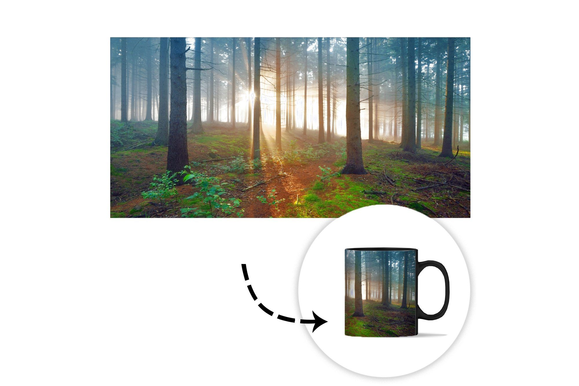 Geschenk Kaffeetassen, Teetasse, Wald Baum Pflanze, Farbwechsel, MuchoWow Zaubertasse, - - Tasse Keramik,