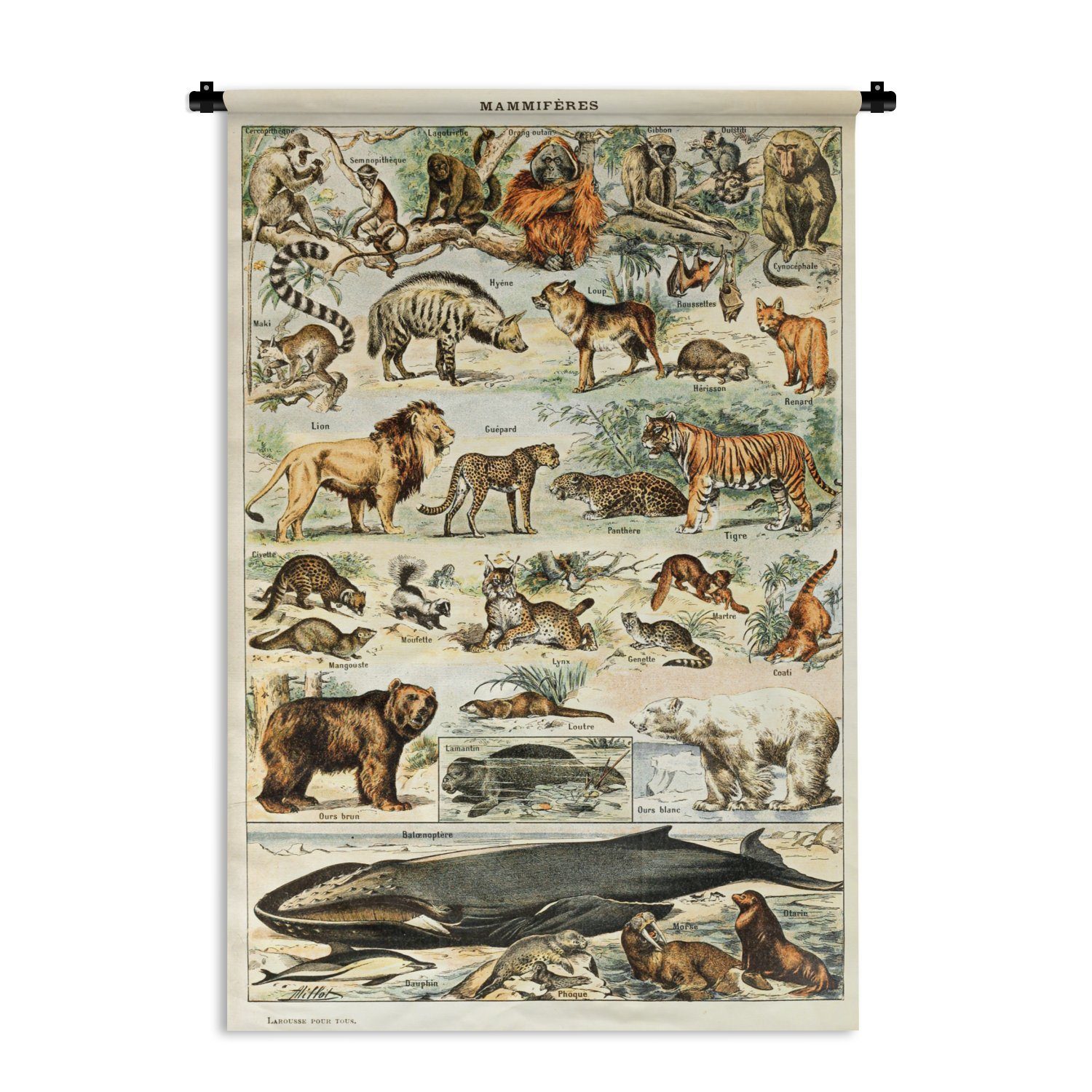 MuchoWow Wanddekoobjekt Tiere - Vintage Kleid, Millot - Adolphe für Wanddeko Schlafzimmer, - Tiger Wandbehang, Löwe, - Kinderzimmer Wohnzimmer