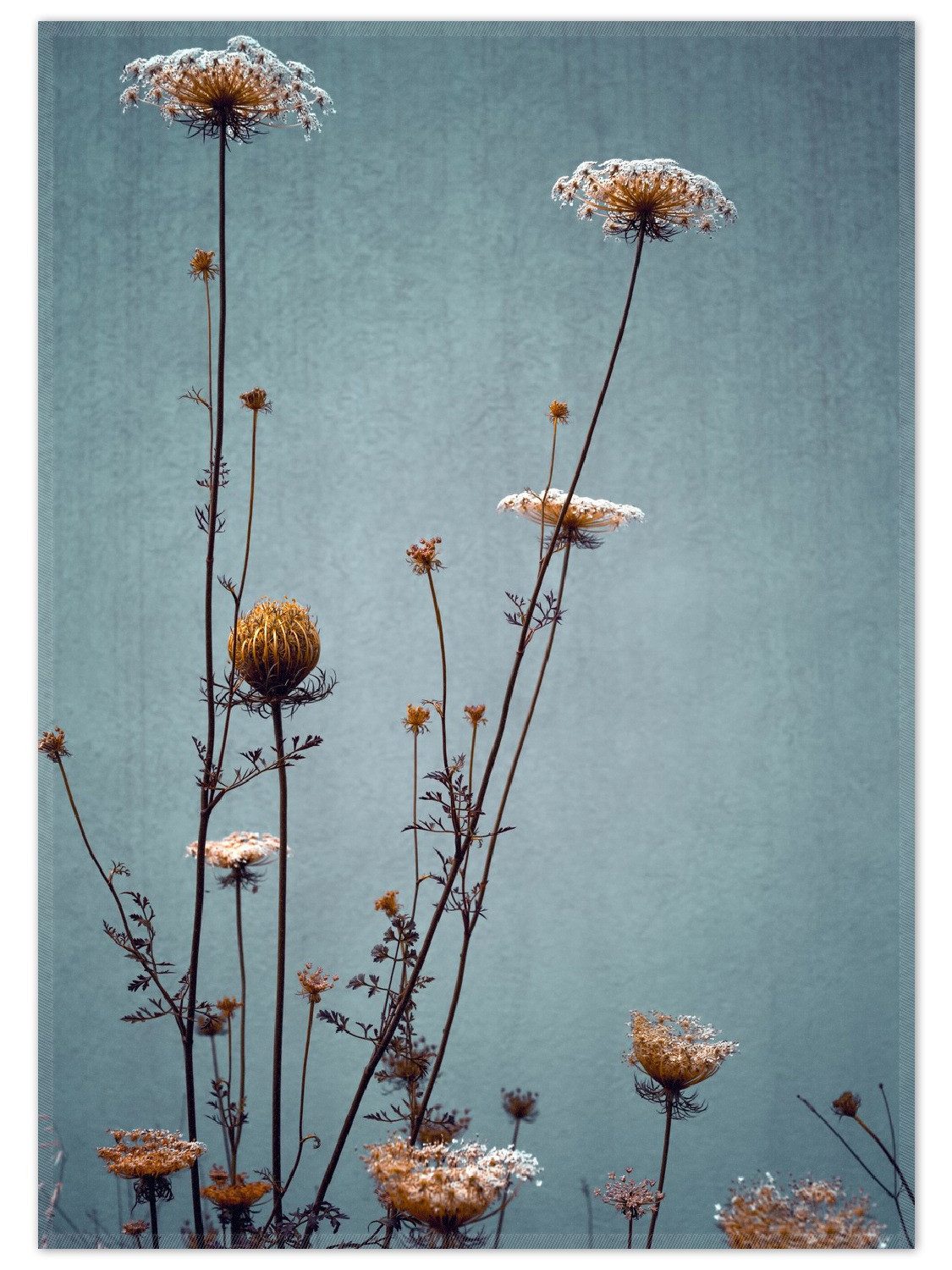 Wallario Teppich Filigrane Wildblumen, rechteckig, rutschfest