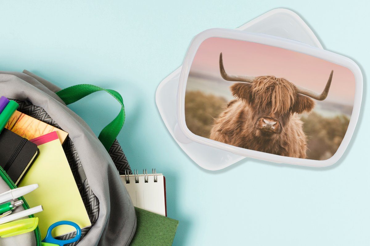 Kinder (2-tlg), Kuh für Lunchbox MuchoWow Brotbox Highlander - Mädchen Kunststoff, - Erwachsene, weiß Brotdose, Jungs und Tier, für und Schottischer