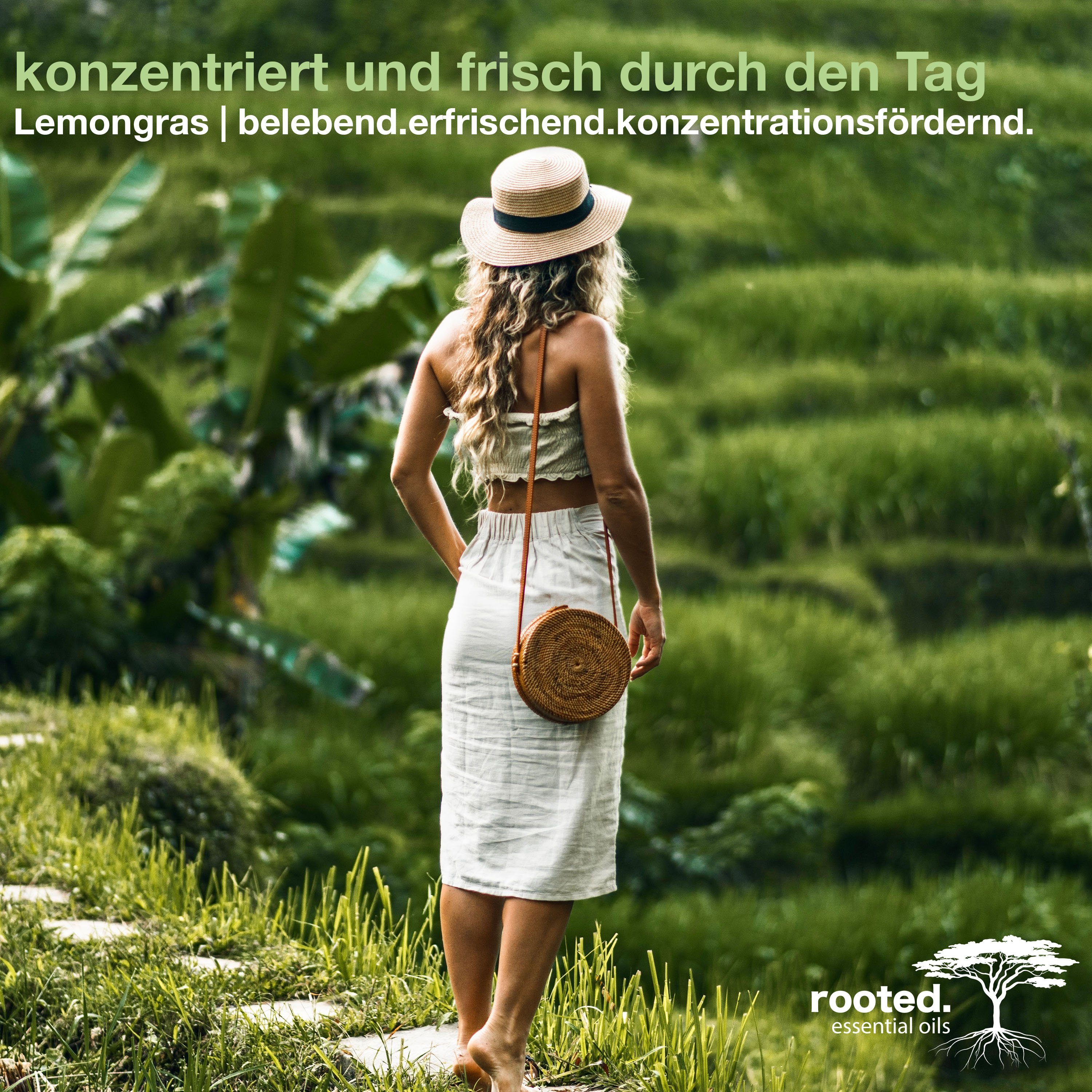 rooted.®, Cymbopogon Körperöl 10ml Zitronengrasöl, ätherisches flexuosus rooted.