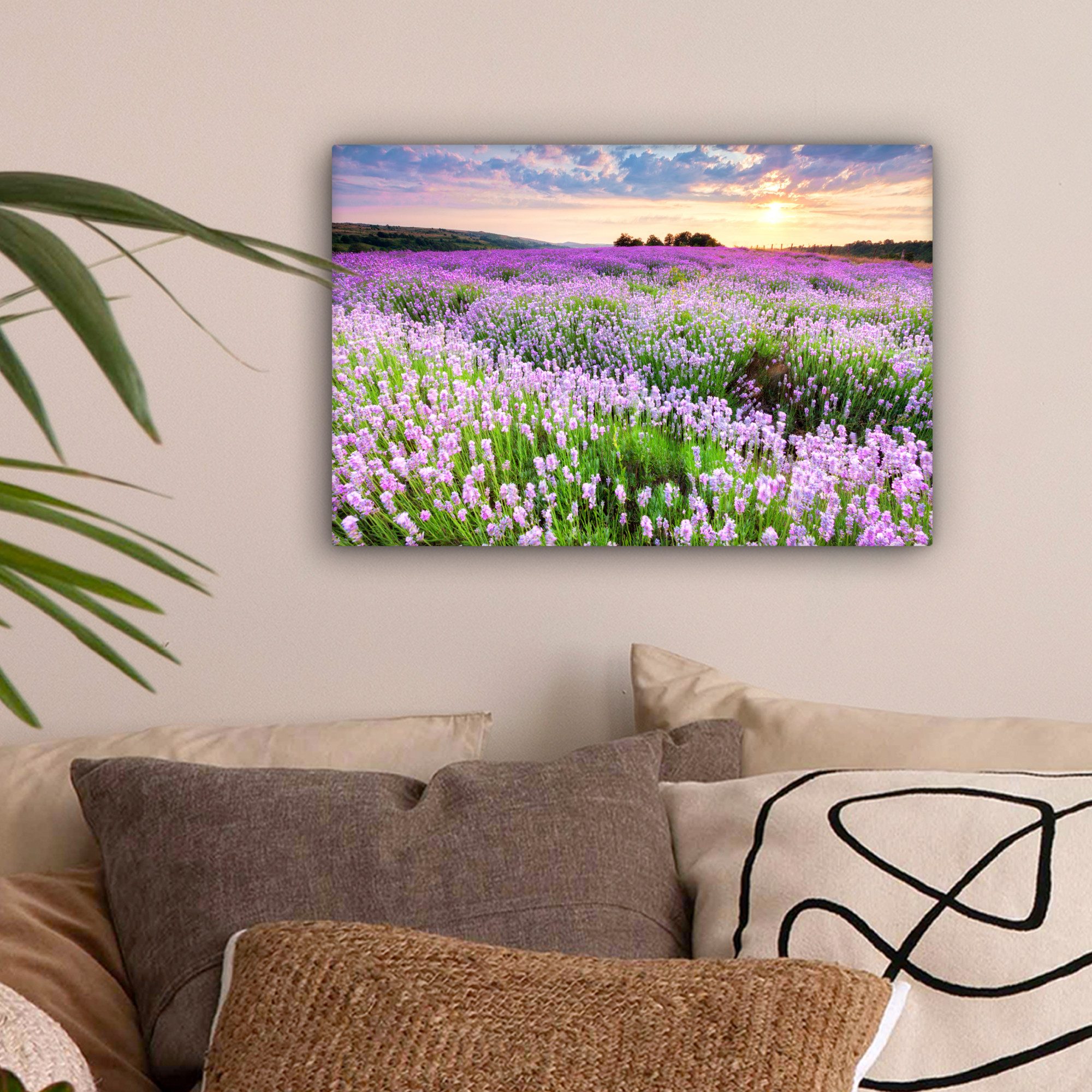 OneMillionCanvasses® Leinwandbild Blumen - Lavendel - günstig online kaufen