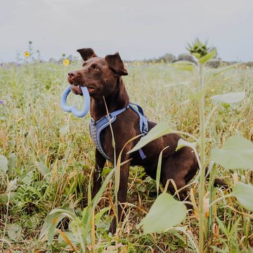 Hey Lana Tier-Intelligenzspielzeug Love Your Paw - Herzspielzeug aus Naturkautschuk