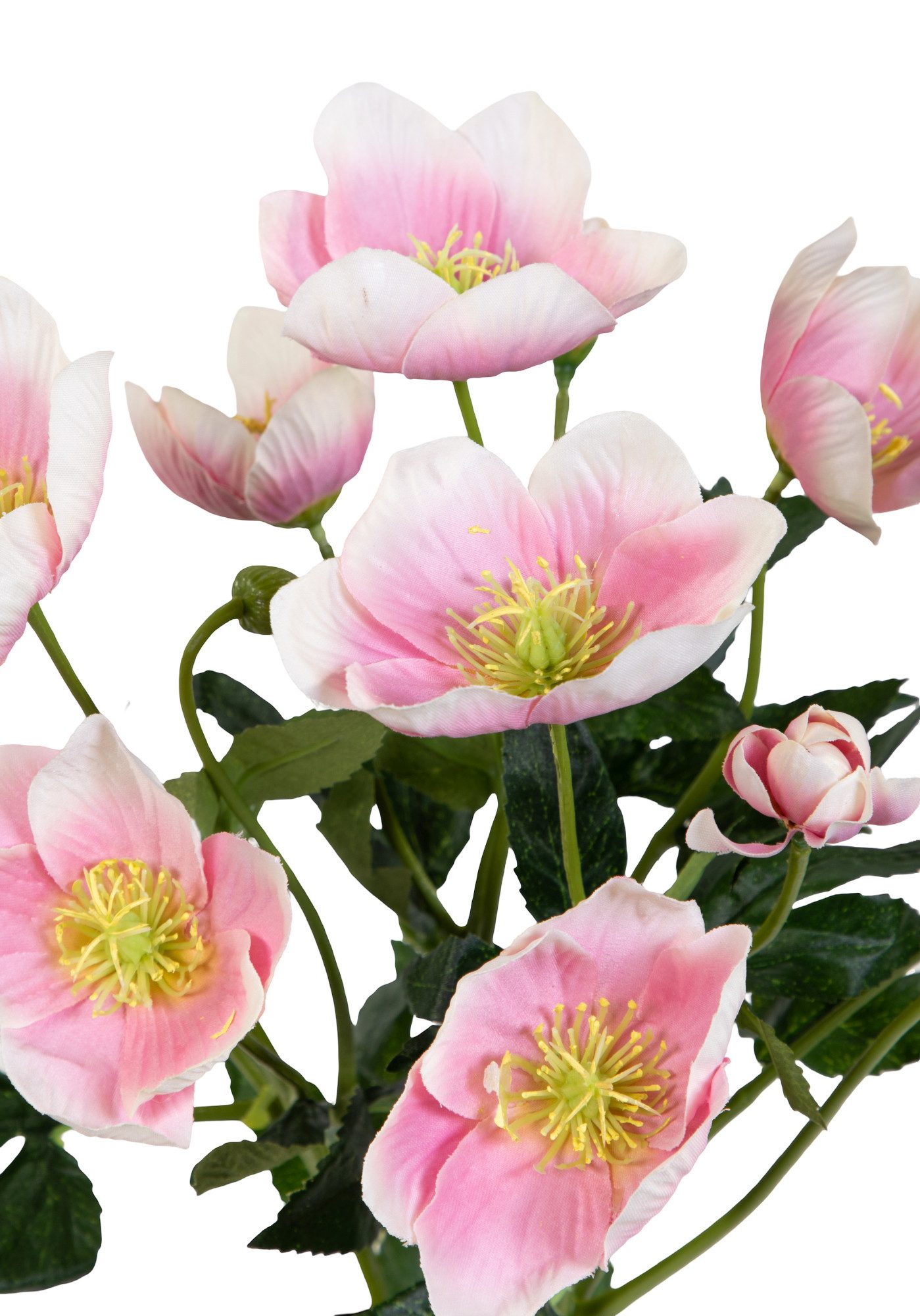 Kunstblume Christrosenbusch im Topf PM Kunstpflanzen künstliche Blumen Christrose Helleborus, Seidenblumen Roß, Höhe 36 cm, Farbe: Hellrosa