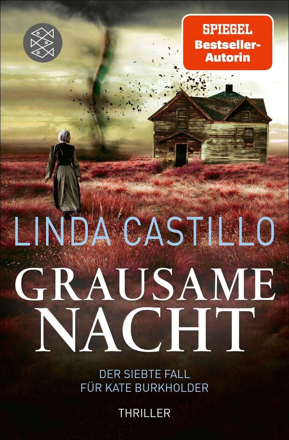 Grausame Nacht / Linda Castillo