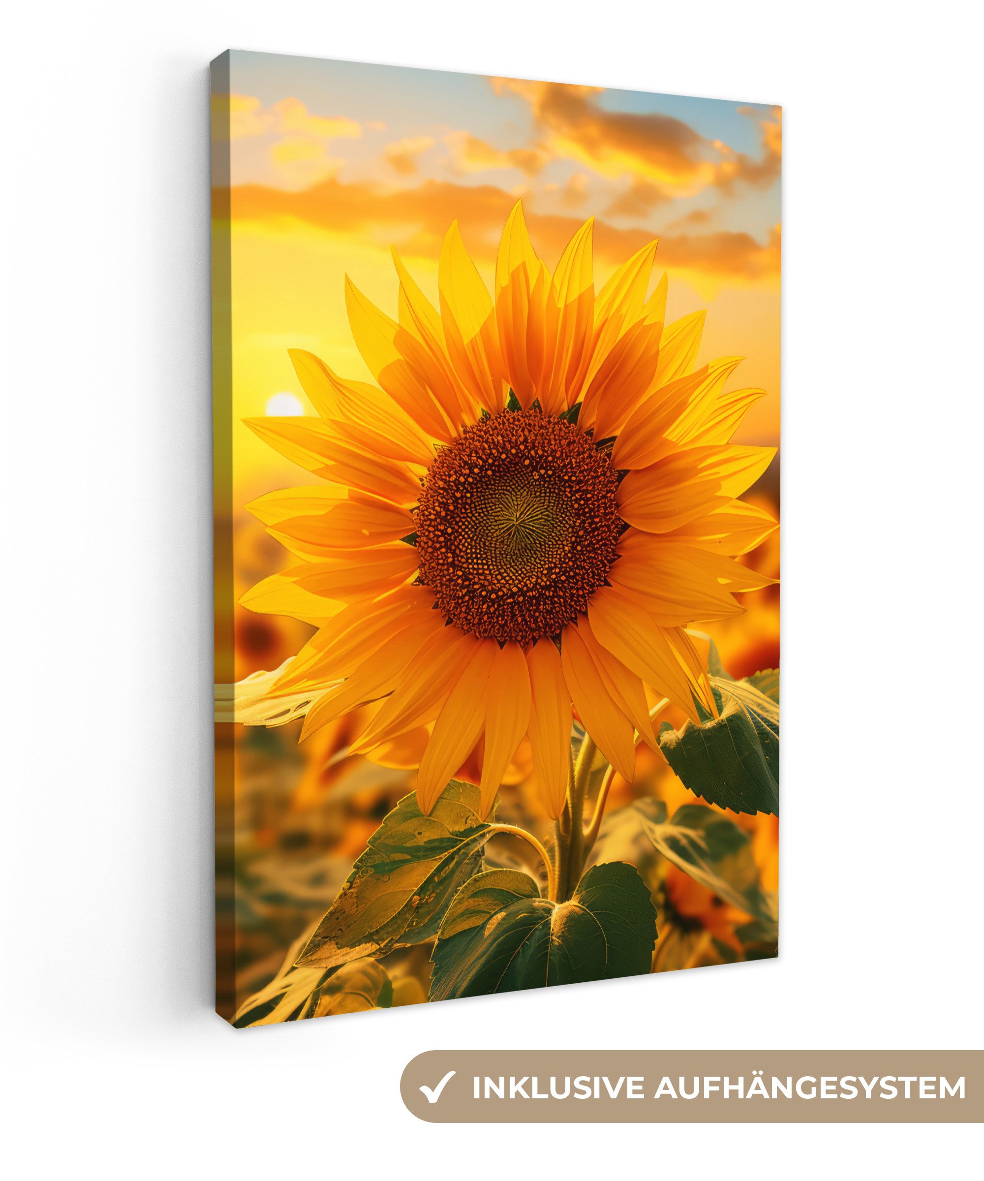 OneMillionCanvasses® Leinwandbild Sonnenblume - Blumen - Gelb - Blumenfeld günstig online kaufen