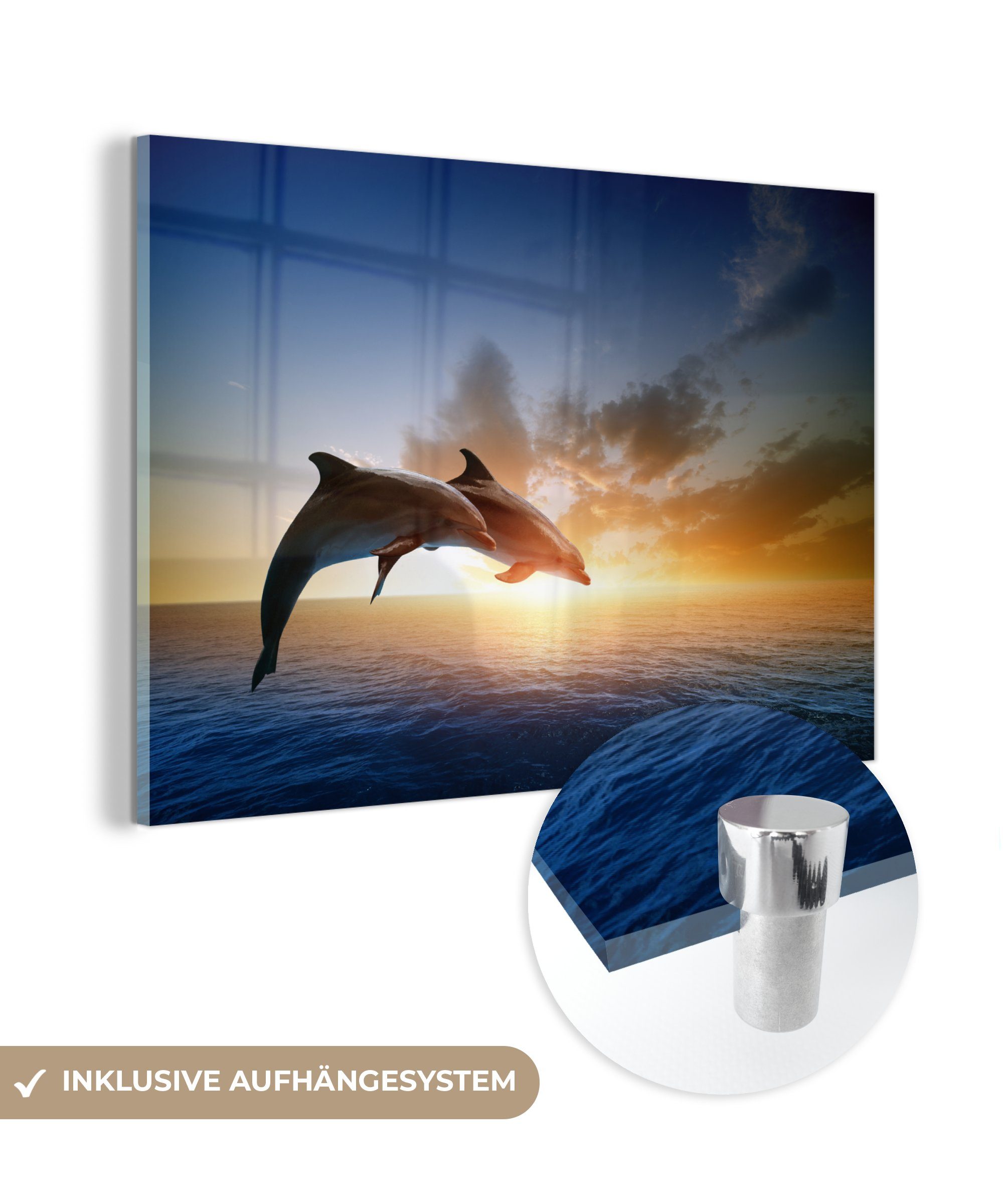 MuchoWow Acrylglasbild Zwei Delphine springen ins Wasser, (1 St), Acrylglasbilder Wohnzimmer & Schlafzimmer
