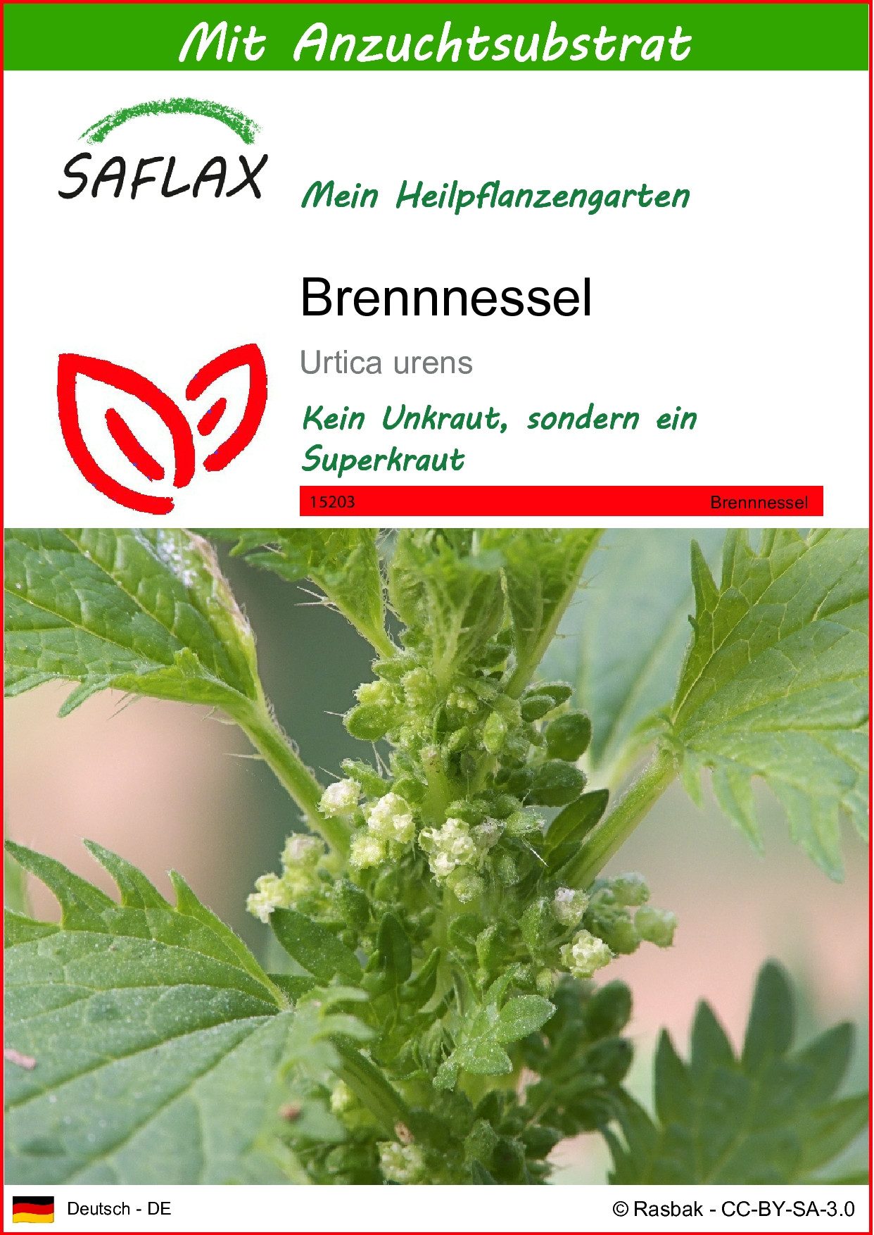 Blumensamen SAFLAX - Samen und Substrat - Brennnessel
