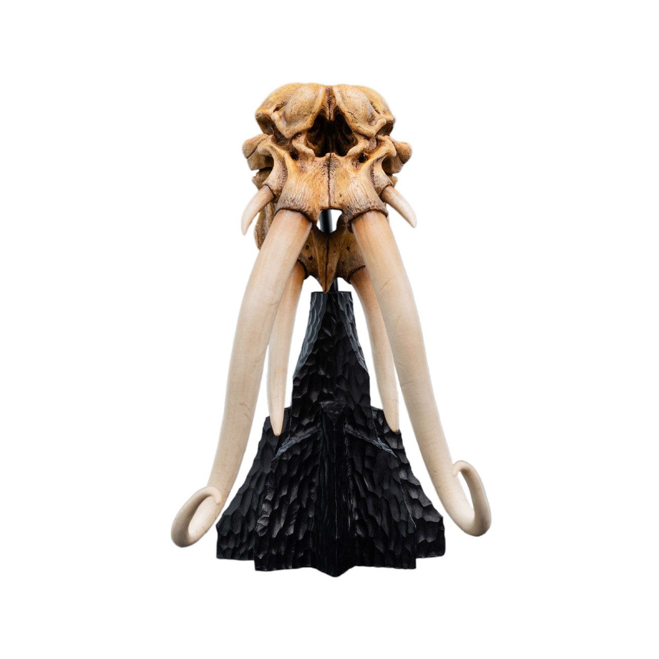 Weta Workshop Merchandise-Figur Herr der Ringe Mini Statue Skull of a Mumak 15 cm