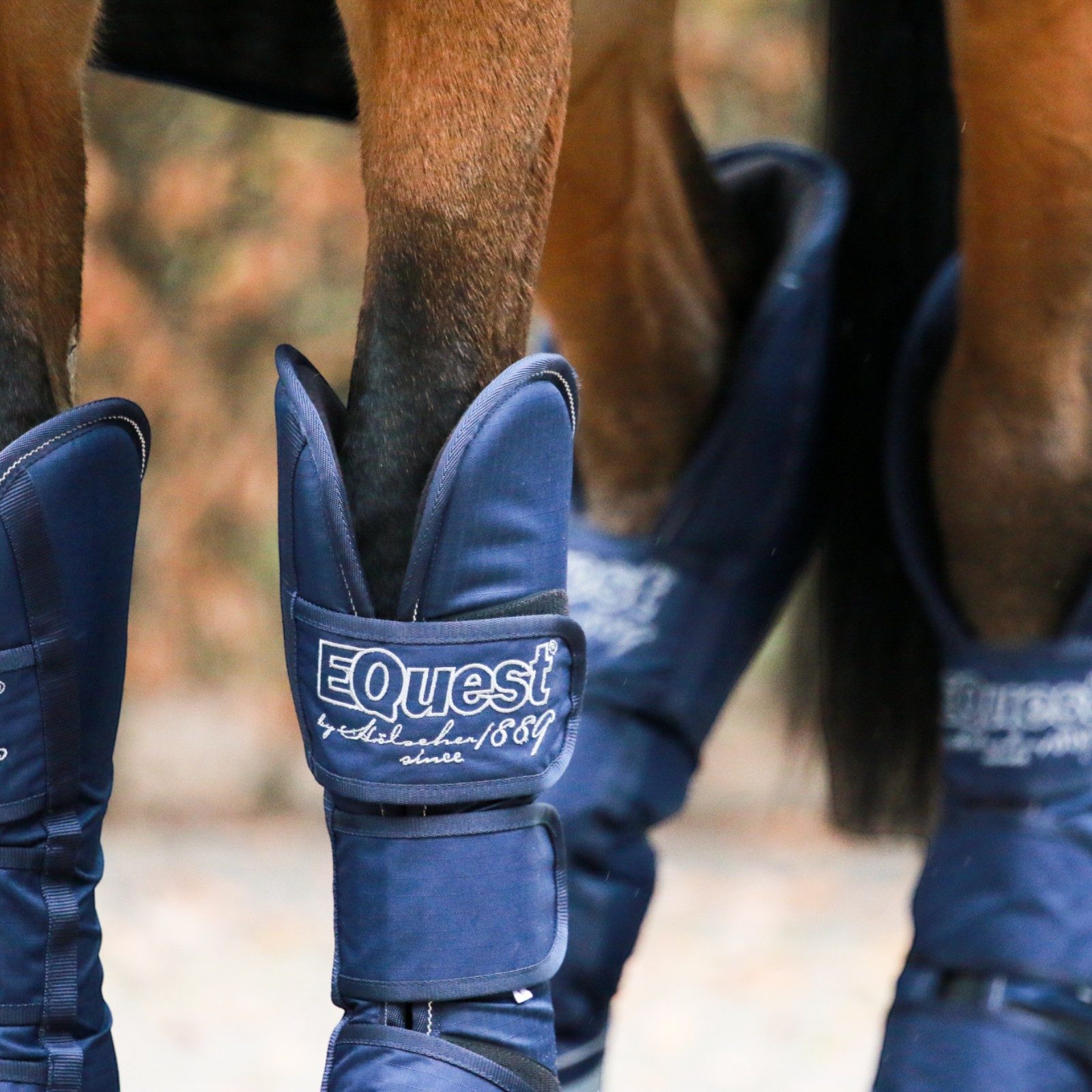 EQuest Transportgamaschen Transportgamasche für Pferde, 4er Set, Navy S Pony