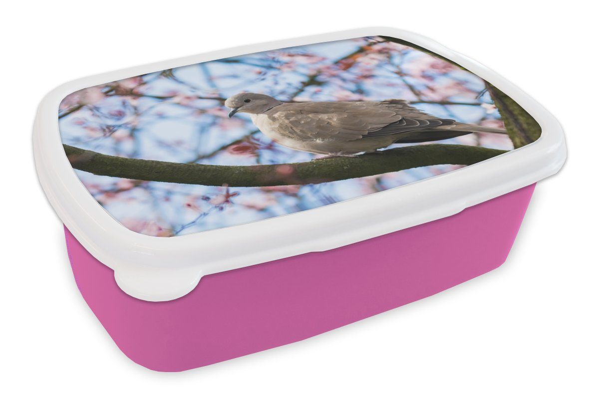 MuchoWow Lunchbox Vogel - Blumen - Taube - Blütenzweige - Rosa, Kunststoff, (2-tlg), Brotbox für Erwachsene, Brotdose Kinder, Snackbox, Mädchen, Kunststoff | Lunchboxen