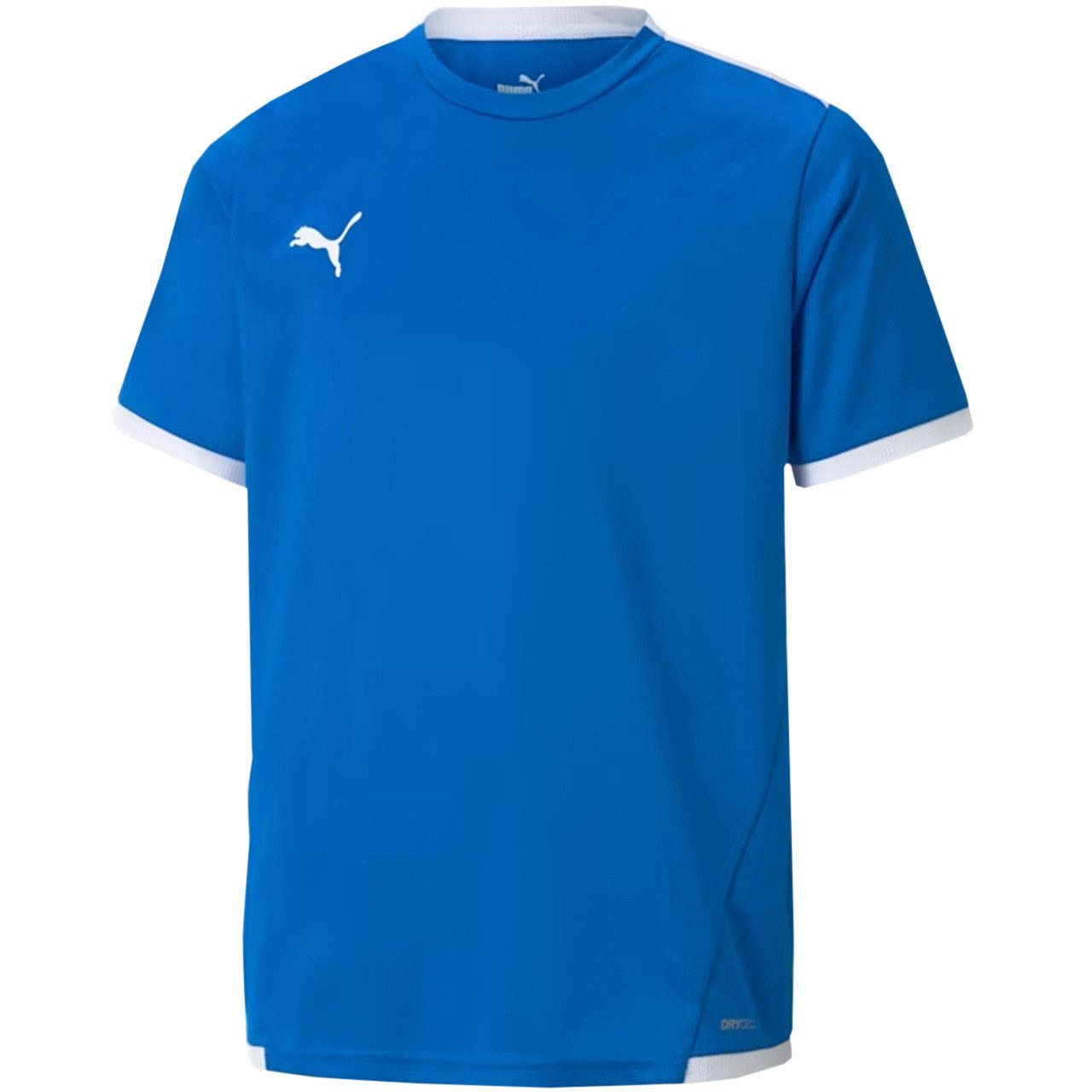 PUMA Funktionsshirt Puma teamLIGA