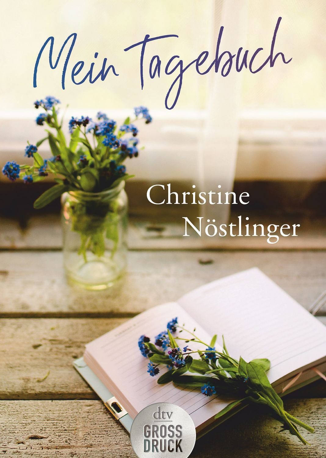 Mein Tagebuch / Christine Nöstlinger