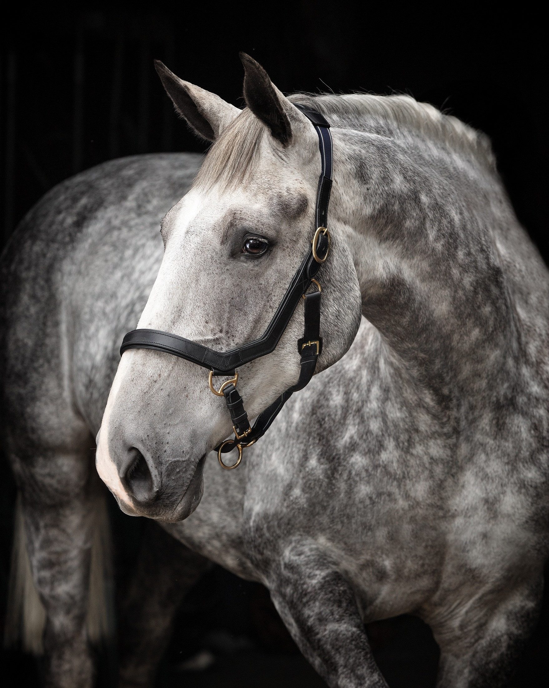 Horseware Halfter Halfter Rambo Micklem