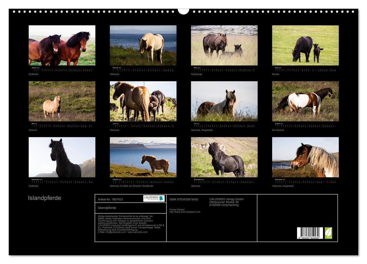 Thumbnail - CALVENDO Wandkalender Islandpferde (Wandkalender 2025 DIN A2 quer), CALVENDO Monatskalender