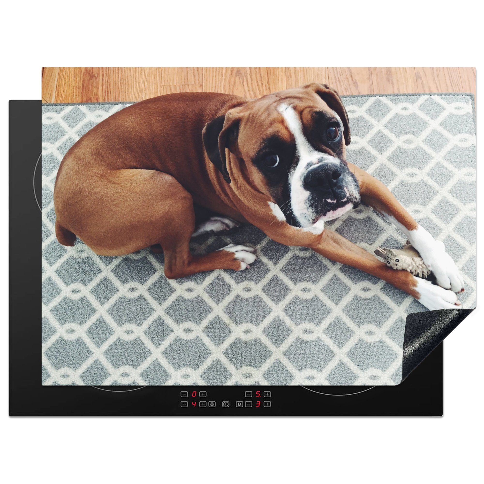 MuchoWow Herdblende-/Abdeckplatte Boxer liegt auf einem Teppich auf dem Boden, Vinyl, (1 tlg), 70x52 cm, Mobile Arbeitsfläche nutzbar, Ceranfeldabdeckung